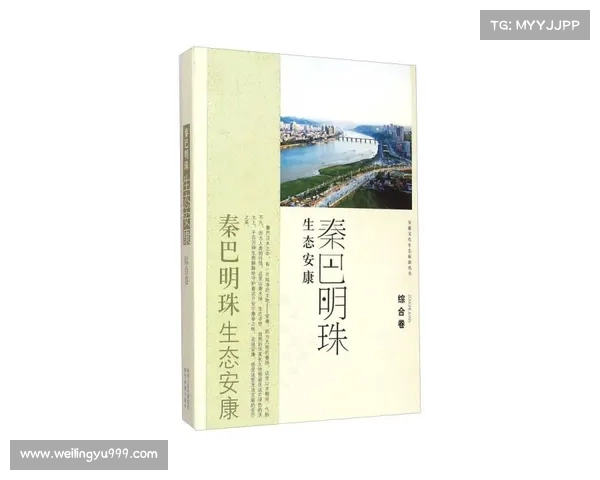 巴洛贡地区历史与文化传承的多维探析与发展潜力研究