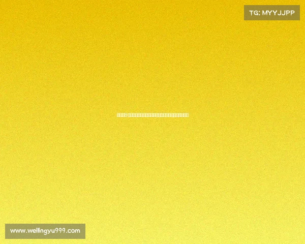 杨瀚森8月训练回顾:波特兰归来途中赴迈阿密新泽西等地备战 杨瀚森8月训练回顾:波特兰归来途中赴迈阿密新泽西等地备战