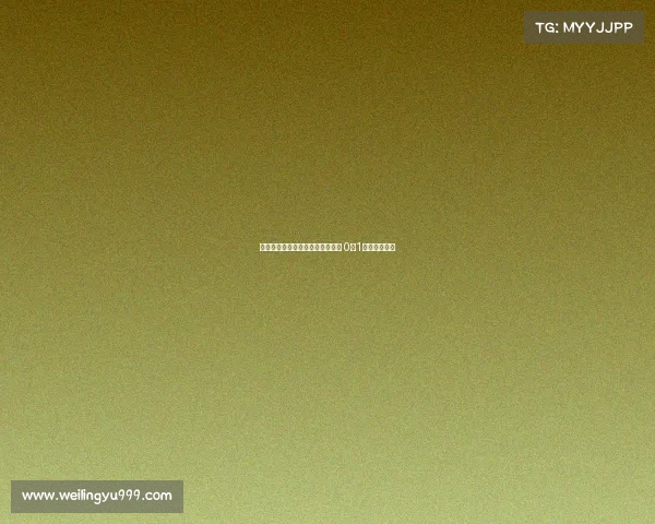 沙尔克与凯泽斯劳滕激战一触即发 0比1战况瞬间回顾