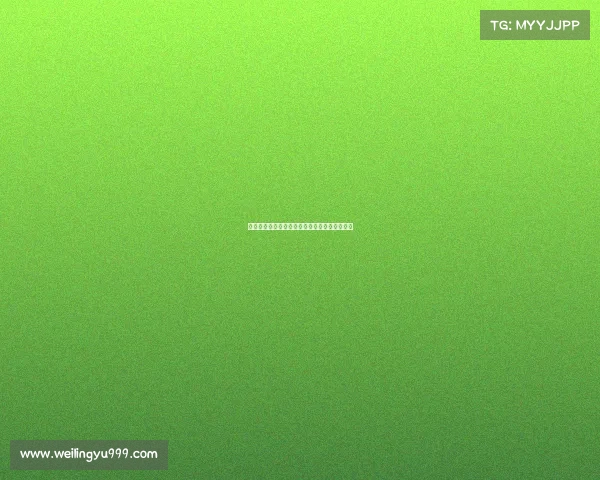 法甲球迷激情应援：为爱而战的力量与情感传递